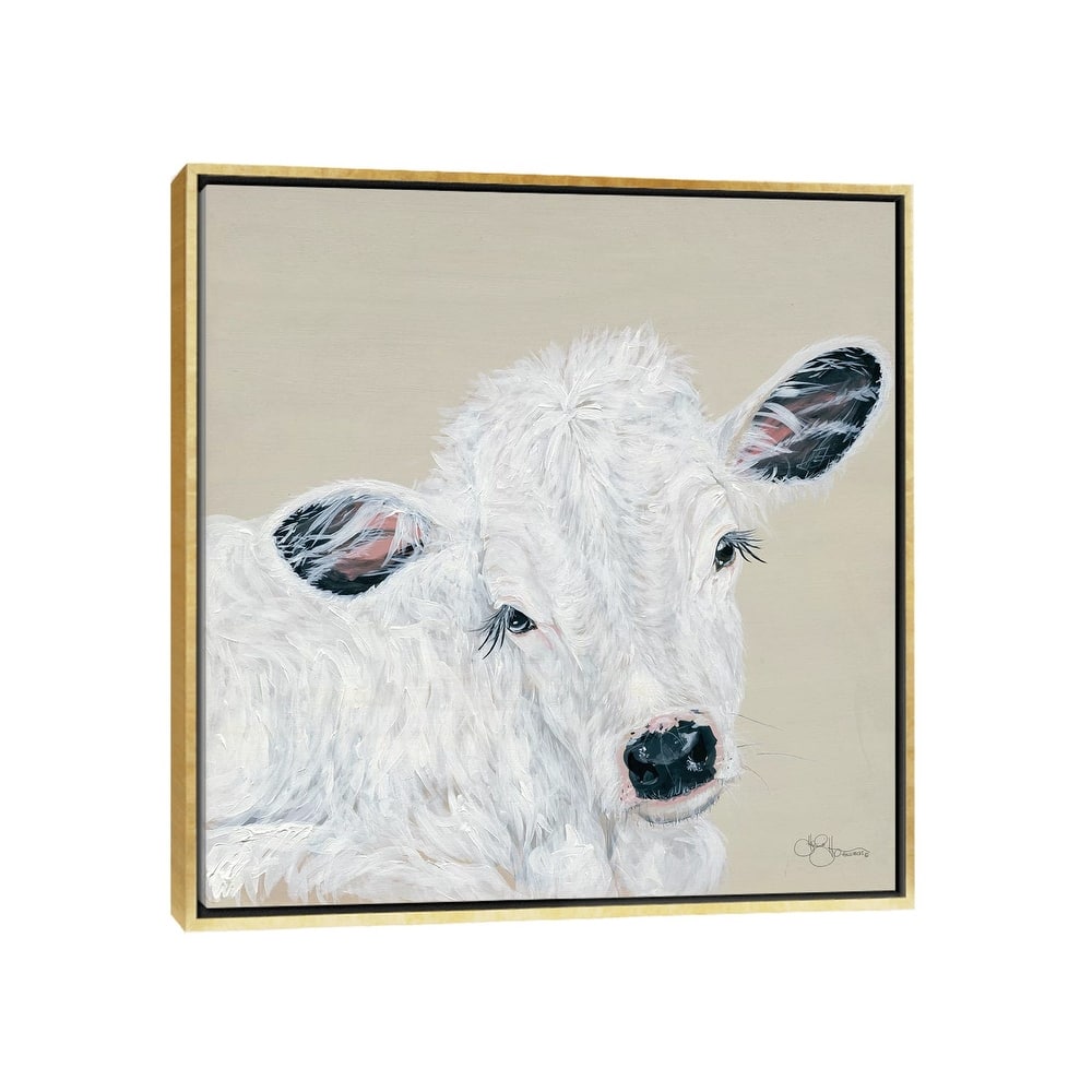 iCanvas "White Calf" by Hollihocks Art Framed Canvas Print