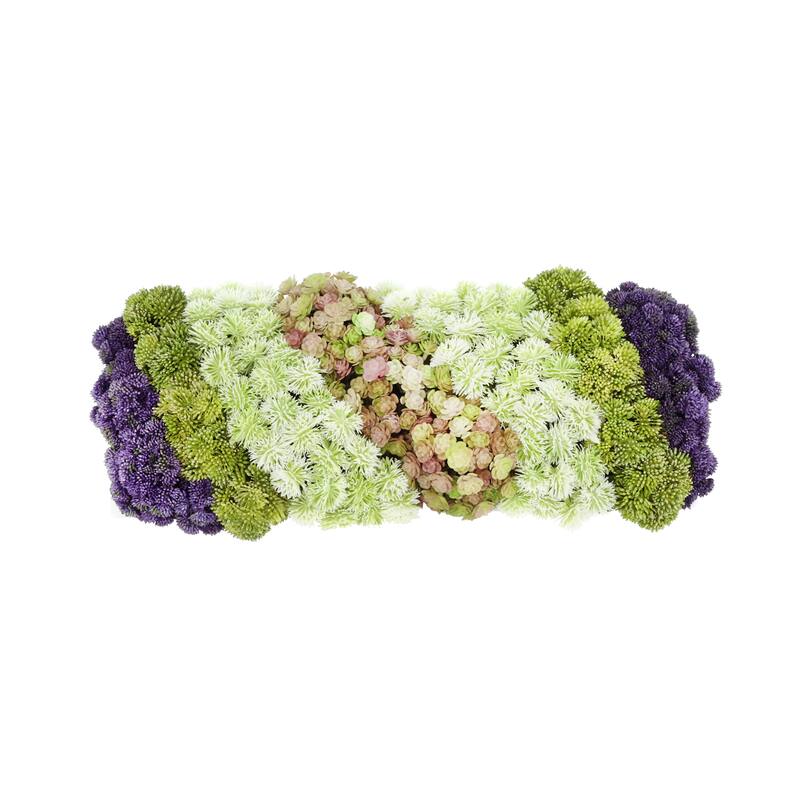 Modern Arrangement with Sedum, Thistle and Succulents