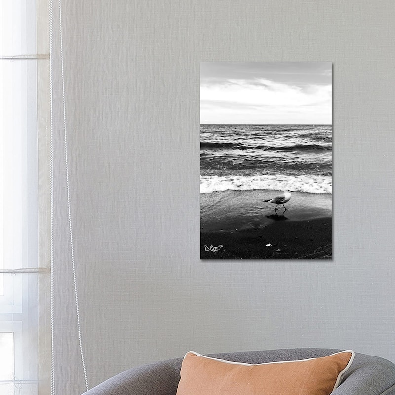 iCanvas "Seagull I" by Donnie Quillen Canvas Print - 26x18x1.5