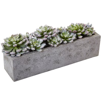 Succulent Garden Planter - Nordic Haven Concrete Planter with Colorful Succulents - 13.5" Decorative Indoor Outdoor Planter