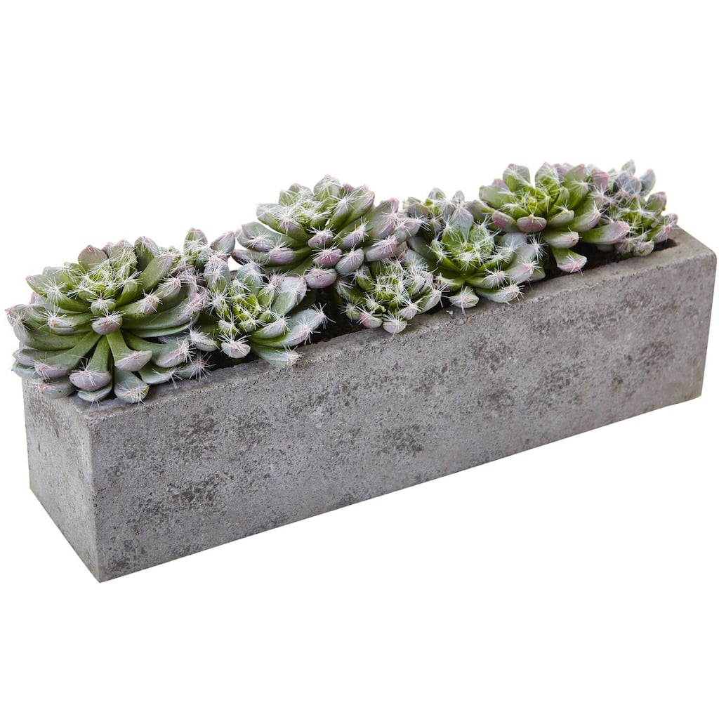 Succulent Garden Planter - Nordic Haven Concrete Planter with Colorful Succulents - 13.5" Decorative Indoor Outdoor Planter