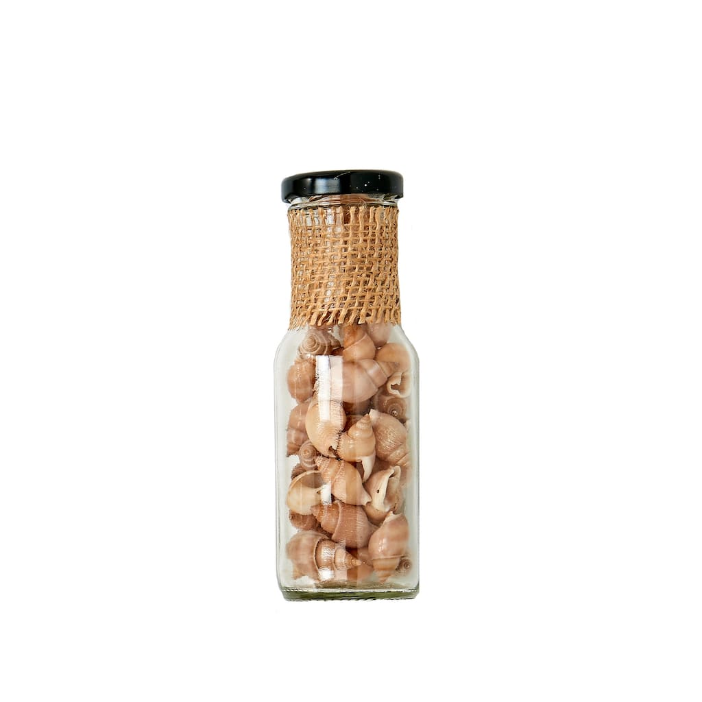 Shells in 6" Glass Bottle, Set of 2 - 6