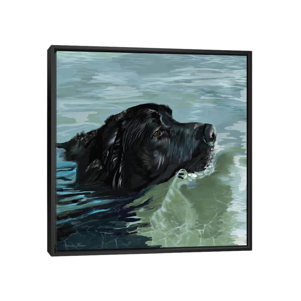 iCanvas "Black Lab Swimming" by Vicki Newton Framed Canvas Print