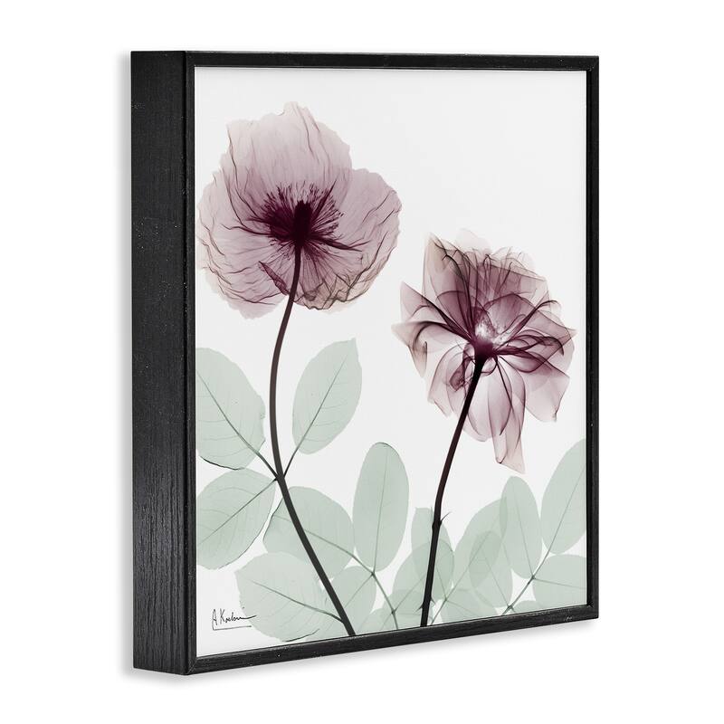 Stupell Delicate Floral Bunches Framed Giclee Art Design By Albert Koetsier