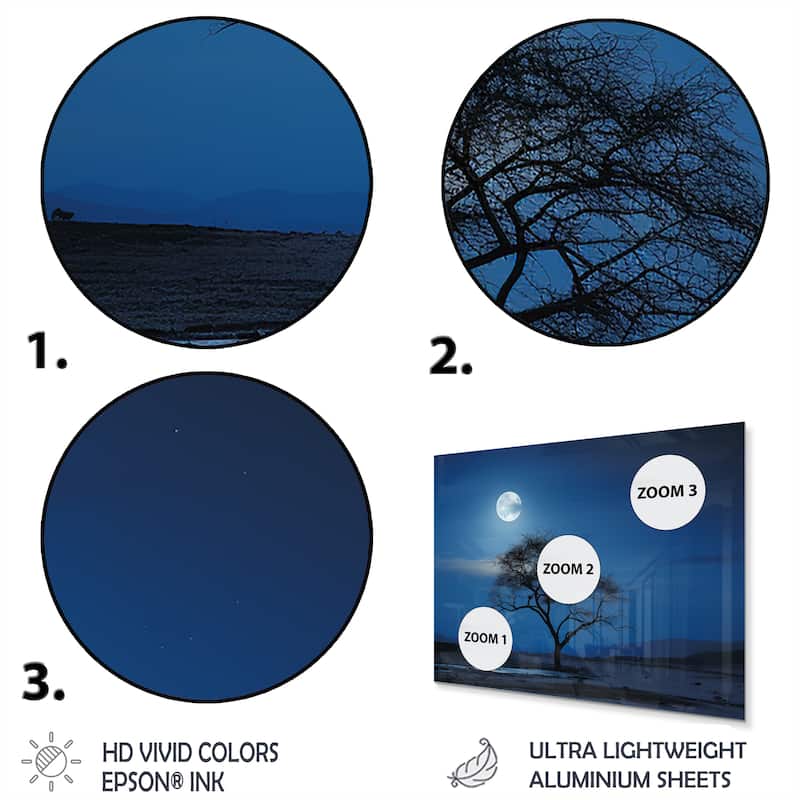 Designart "Blue Moonlight Tree Desert" Tree Metal Wall Art - Blue Metal Wall Décor Modern Metal Art Work