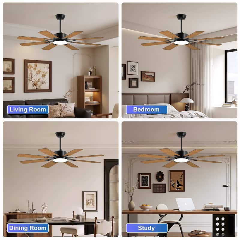 52 Inch Ceiling Fan with Lights and Remote Control, 8 Plywood Blades, 6-Speed Noiseless Reversible DC Motor