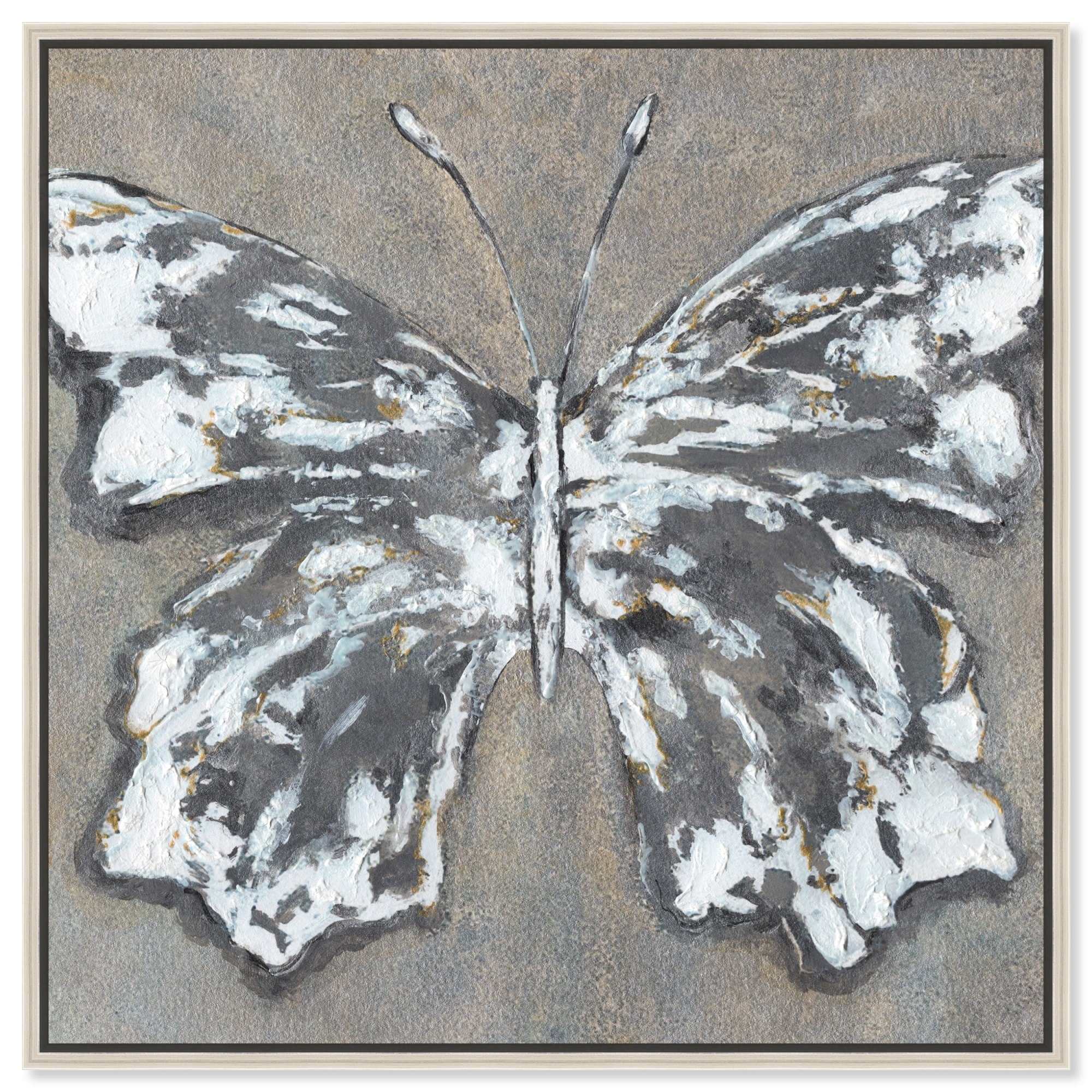 Silver Butterfly Canvas Butterfly Art Prints by Art Remedy