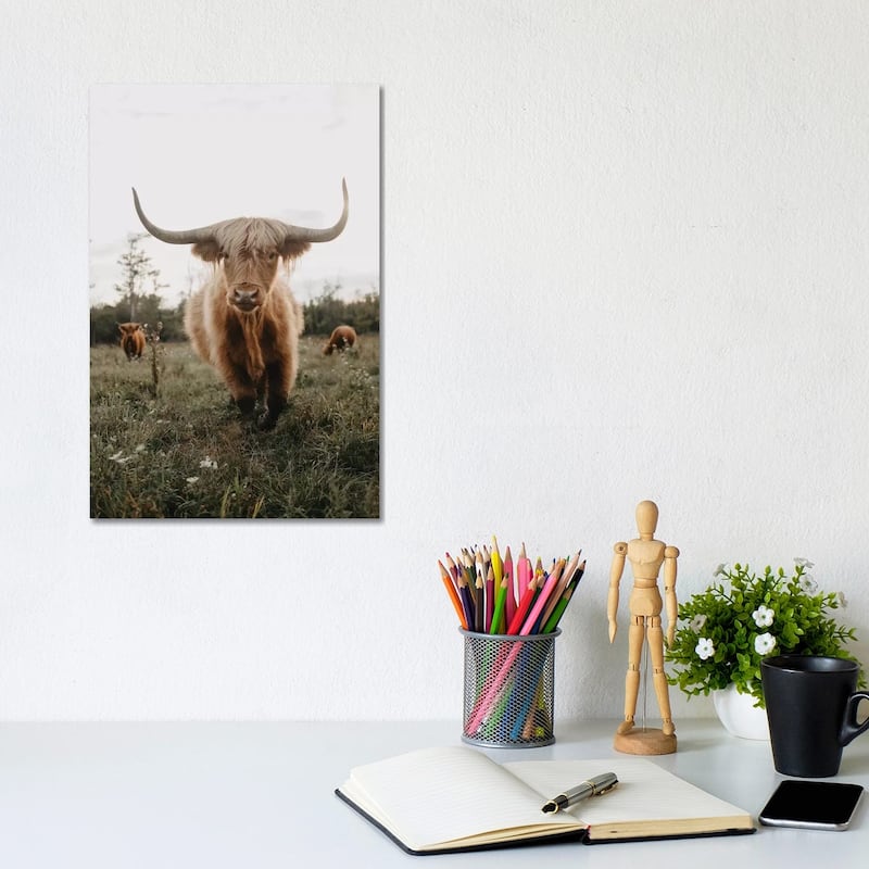 iCanvas "Highland Cow At Sunset" by Chelsea Victoria Canvas Print - 12x8x0.75
