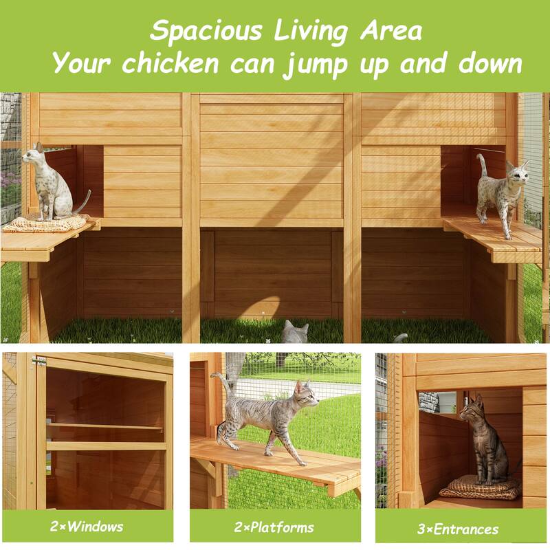 Cat Catio Window Box for 6 to 8 Kittens, Lockable House with 5 Windows