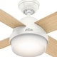 preview thumbnail 5 of 19, Hunter 52" Dempsey Ceiling Fan w/LED Light Kit, Handheld Remote - Contemporary, Transitional