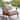 Cambridge Casual Chara Teak Patio Club Chair with Cushion