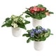 preview thumbnail 3 of 2, Uttermost Trilogy Primrose Accents In Vases Set/3