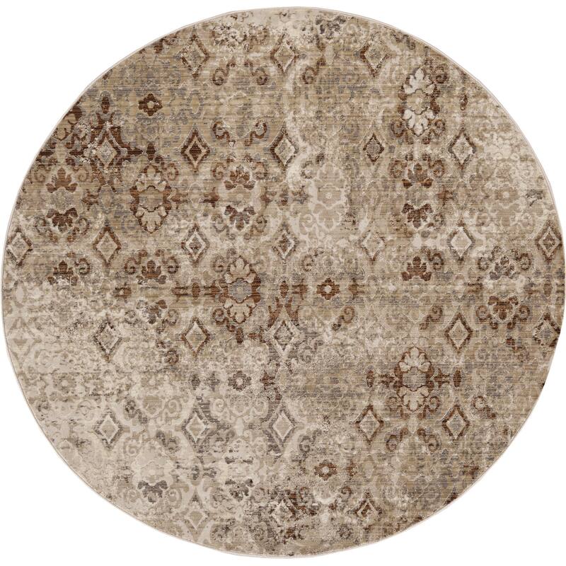 Gracewood Hollow Renza Distressed Emblum Rug