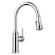 Option Polished Nickel