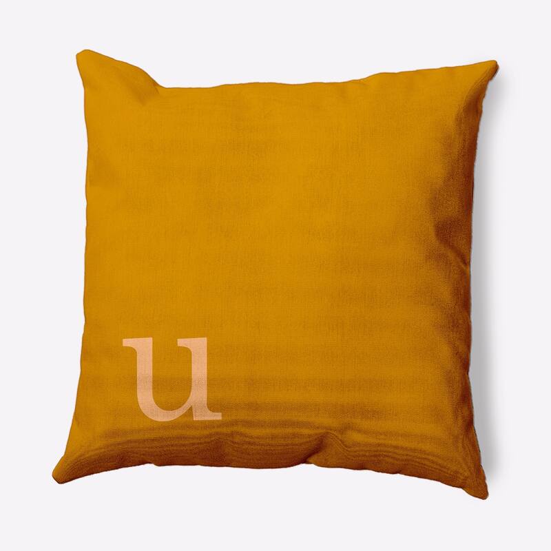 Modern Monogram Decorative Throw Pillow - 18" x 18" - u