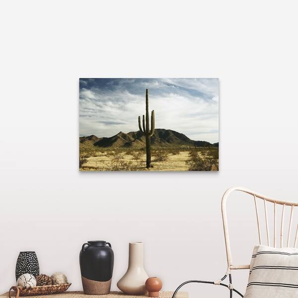 Shop Saguaro Cactus Canvas Wall Art Overstock 16490708