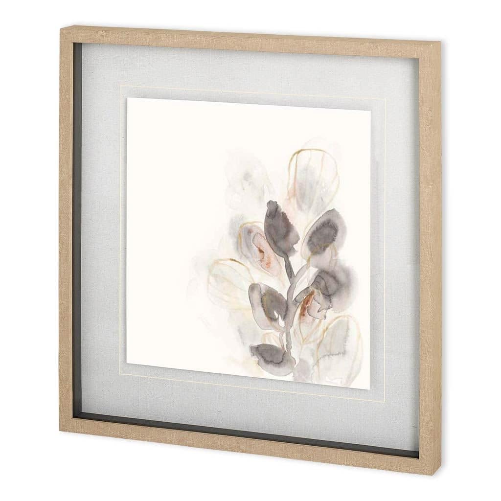 Seed Pod II Framed Art Print