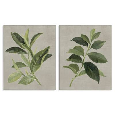 Stupell Green Tea & Coffee Plant Leaves Canvas Wall Art Design By Lanie Loreth (Set of 2)