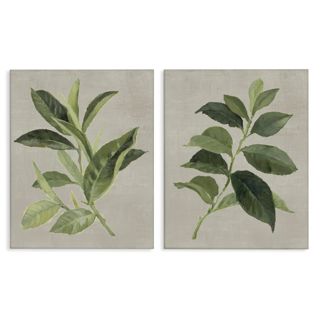 Stupell Green Tea & Coffee Plant Leaves Canvas Wall Art Design By Lanie Loreth (Set of 2)