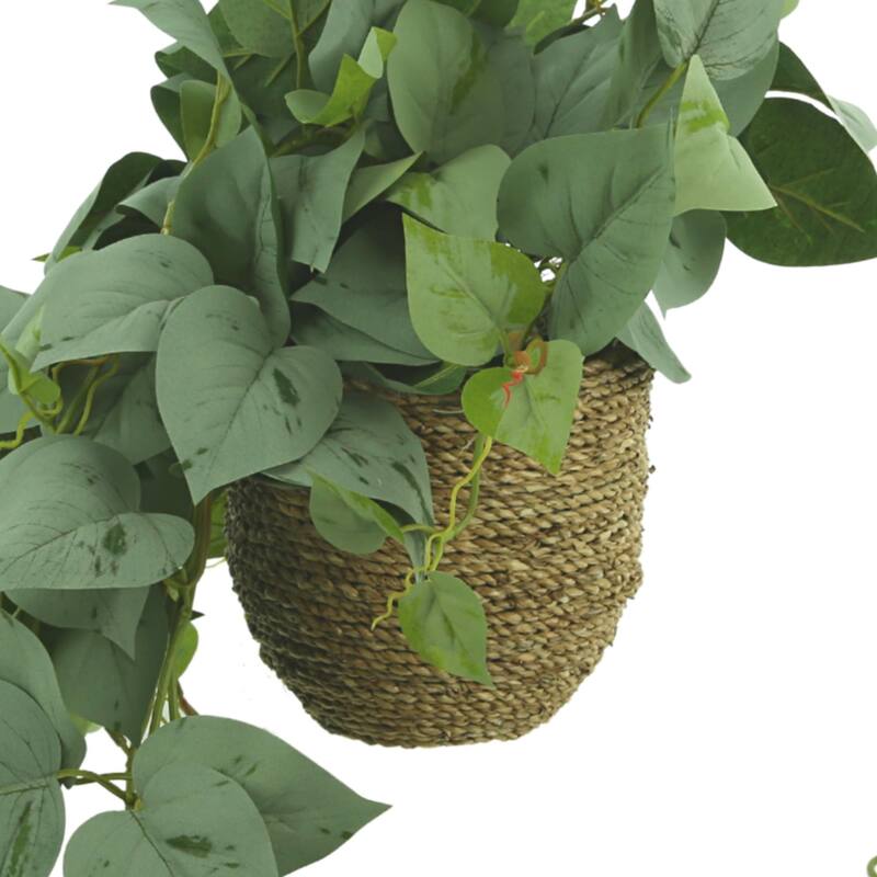 Frosted Ivy Arrangement in Rope Pot - Green