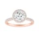 Option Rose