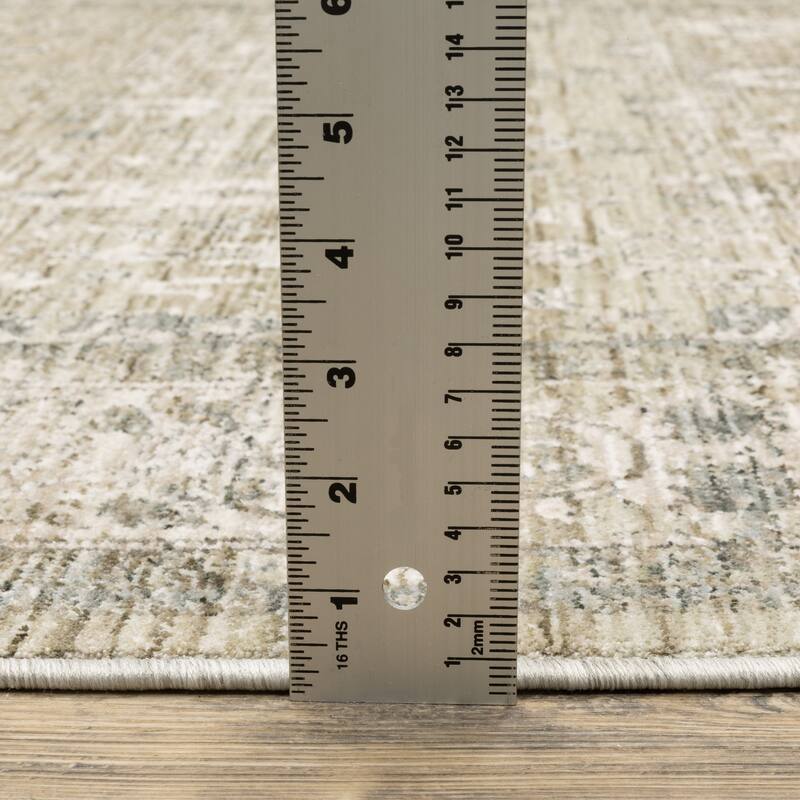 Amira Distressed Traditional Beige/ Grey Area Rug