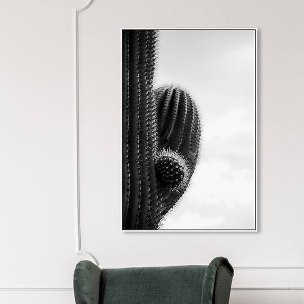 Oliver Gal In The Desert Floral And Botanical Wall Art Framed Canvas Print Cactus Black White Overstock 31793678