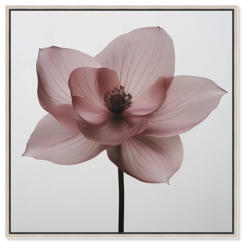 Silken Sepals Canvas by Art Remedy - Silver - 40" x 40"
