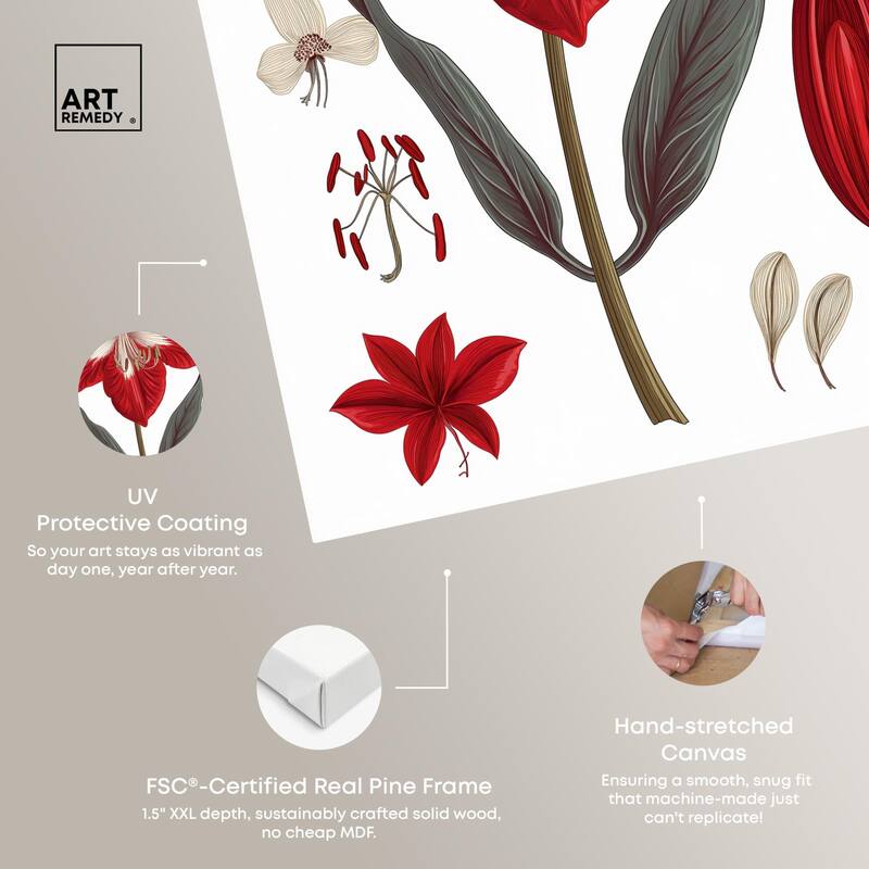 Amaryllis Anatomy Canvas by Art Remedy, Gallery Wrapped