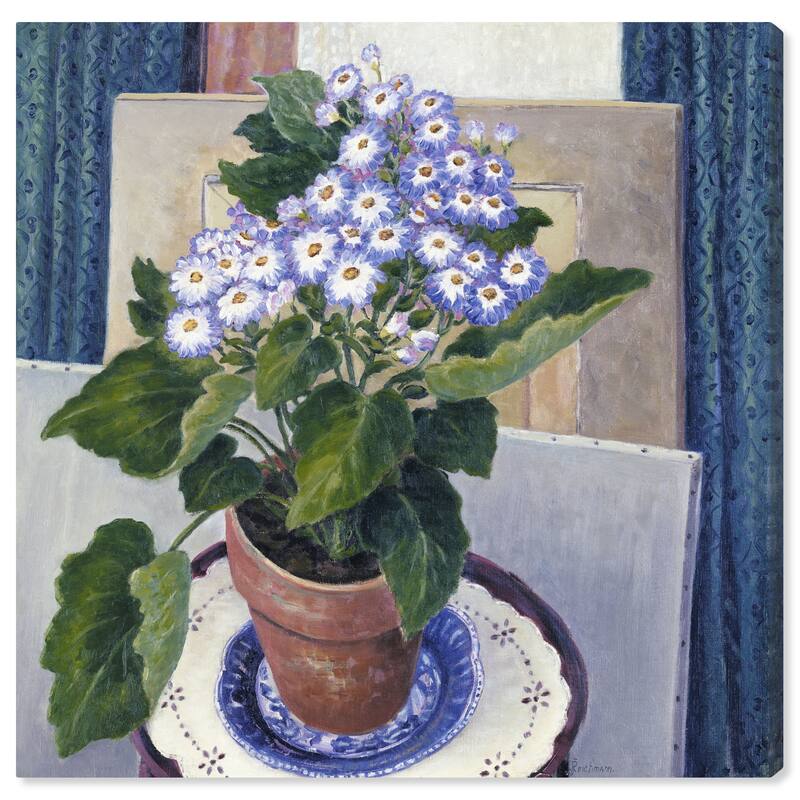 Wynwood Studio Canvas Floral and Botanical Cineraria by Josephine L Reichmann Purple and Traditional Wall Art Canvas Print