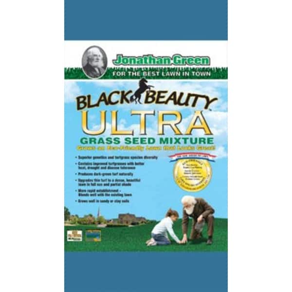 Home | Jonathan Green Black Beauty Delmarva Mix Grass Seed at Plaza Las Americas in San Juan, PR