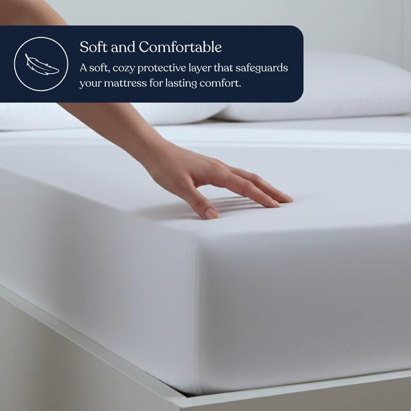 Delara 100% Organic Cotton Mattress Protector 300TC Cover