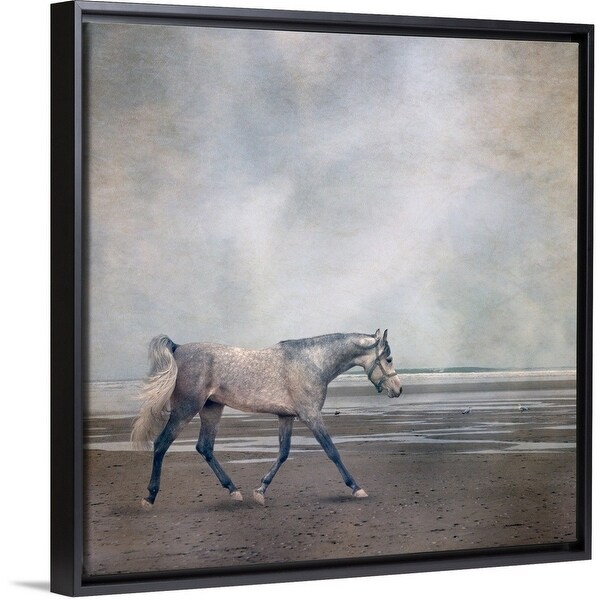 Shop Horse Trotting On Beach Multi Color On Sale Free
