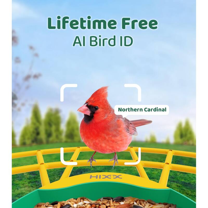 Smart Bird Feeder with Camera 2K HD Live