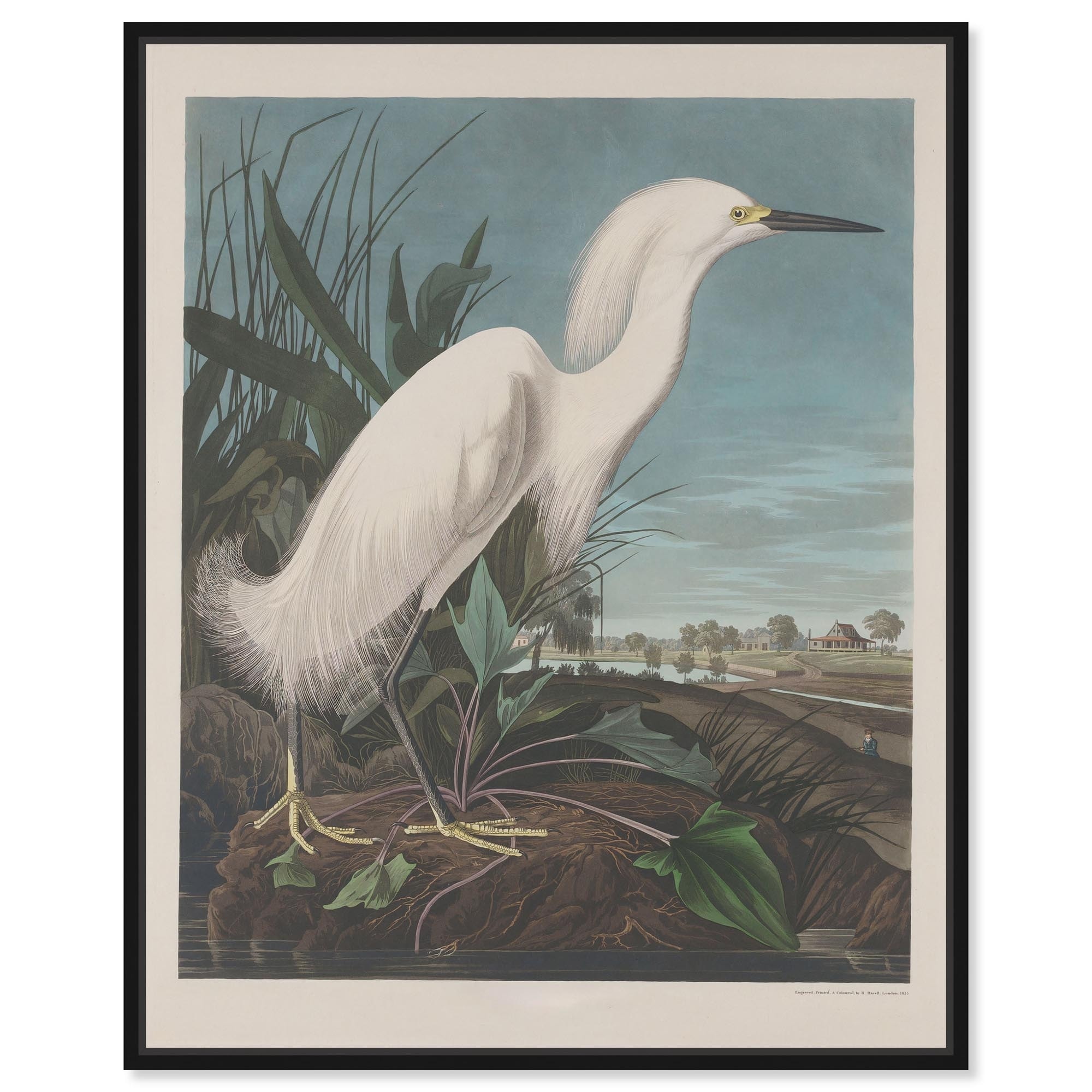 Vision of Grace Vintage Art Framed Canvas Print by Art Remedy