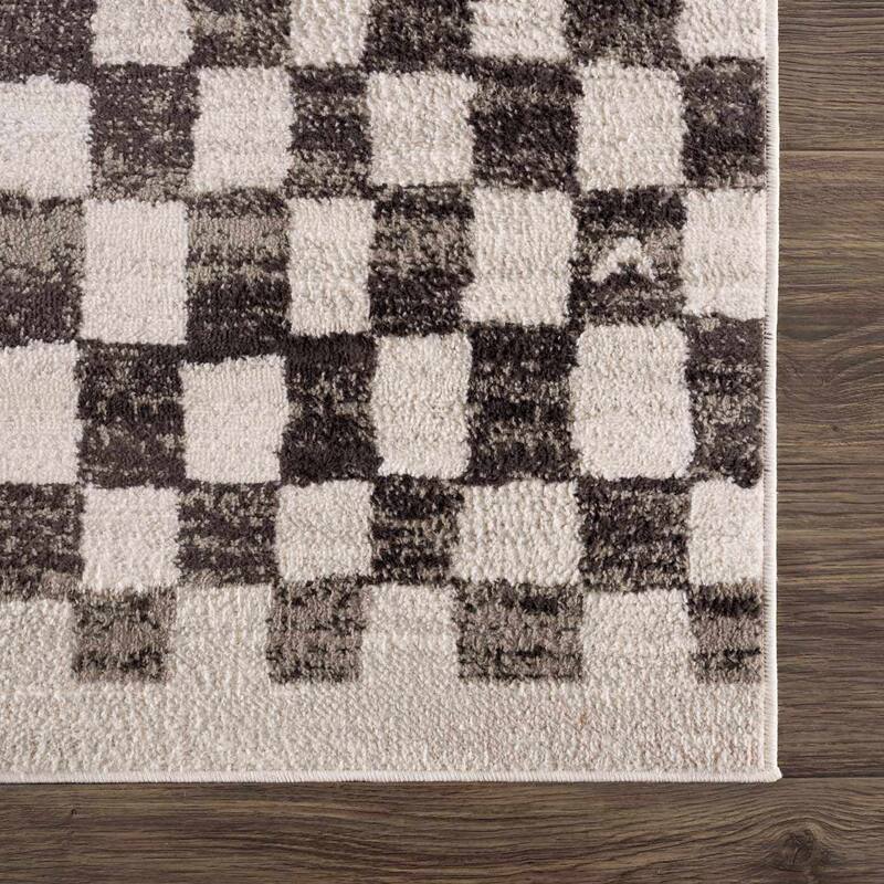 Hauteloom Pertek Checkered Square Tile Distressed Area Rug