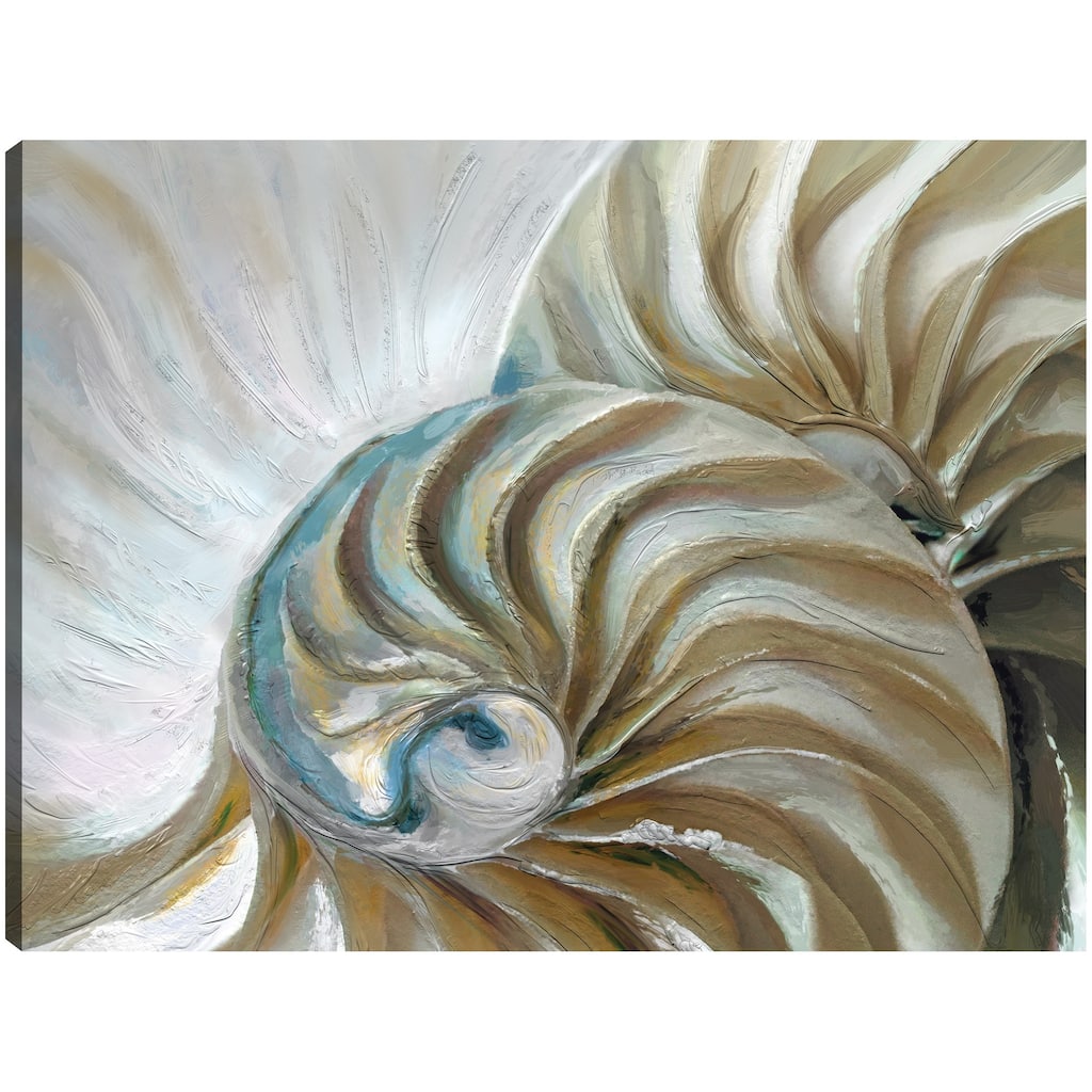 Golden Nautilus By Studio Arts Canvas Art Print