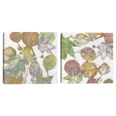 Multi Colored Nature I-II by Danielle Carson Canvas Art Prints