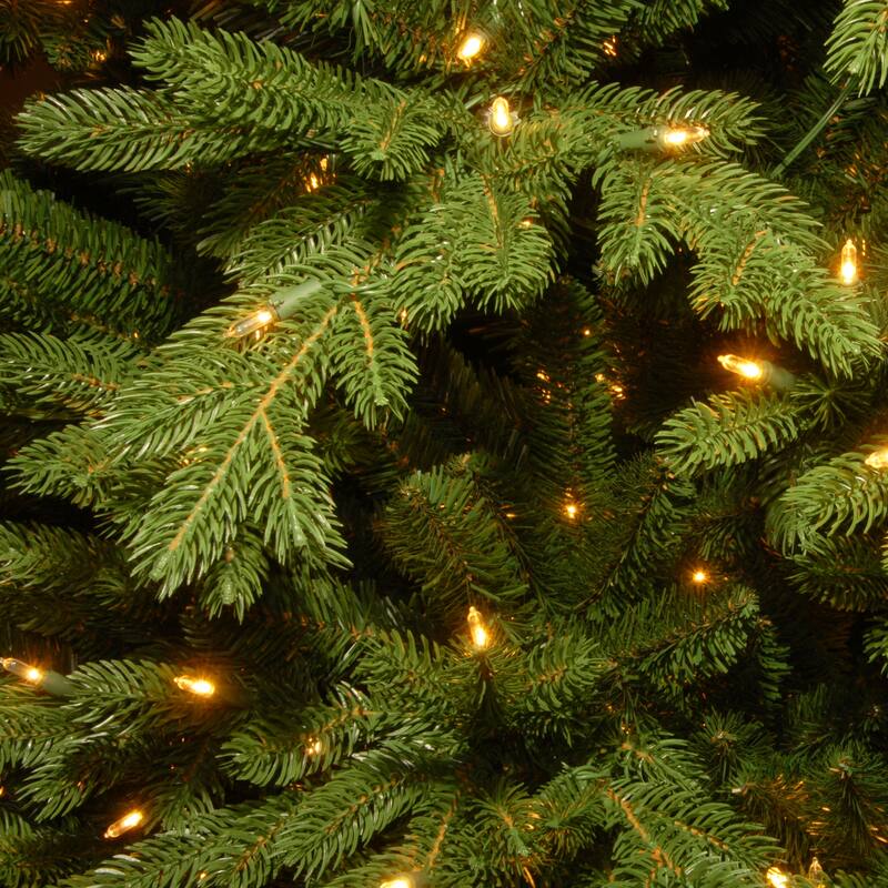 National Tree Company 9 ft. Princeton Deluxe Fraser Fir with Dual Color LED Lights