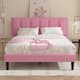 Option Pink