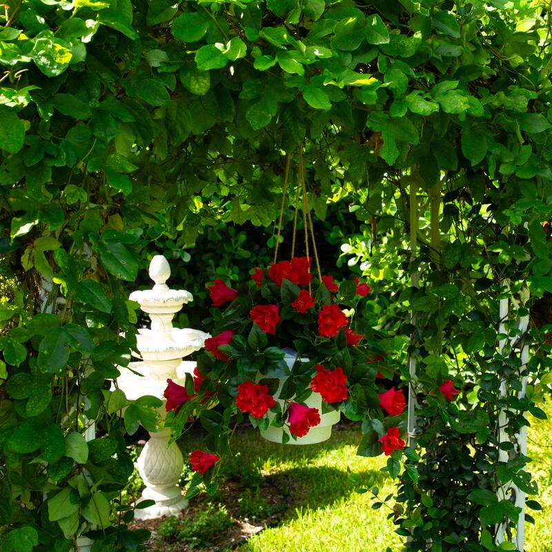 24-in UV Resistant Artificial Hibiscus Hanging Plant - Set of 2