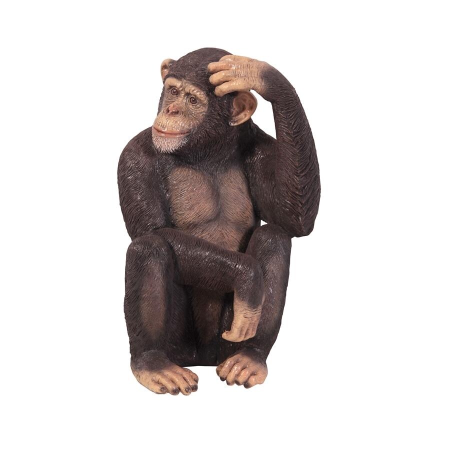 product-thumb