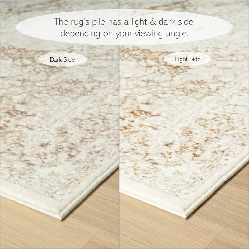 Sevita Modern Damask Polyester Indoor Area Rug