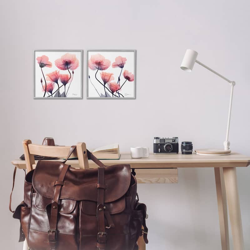 Stupell Various Faded Pink Flowers Framed Giclee Art Design By Albert Koetsier (Set of 2)