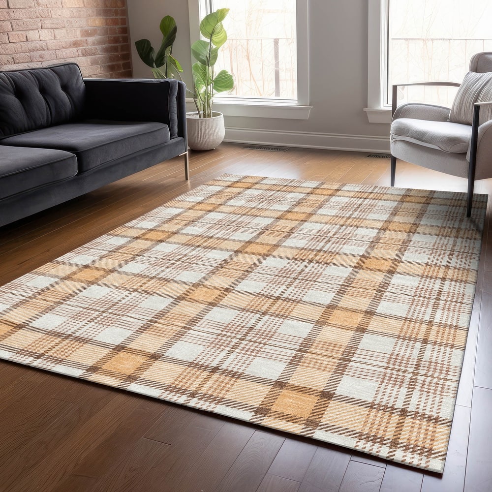 Machine Washable Indoor/ Outdoor Casual Plaid Chantille Rug