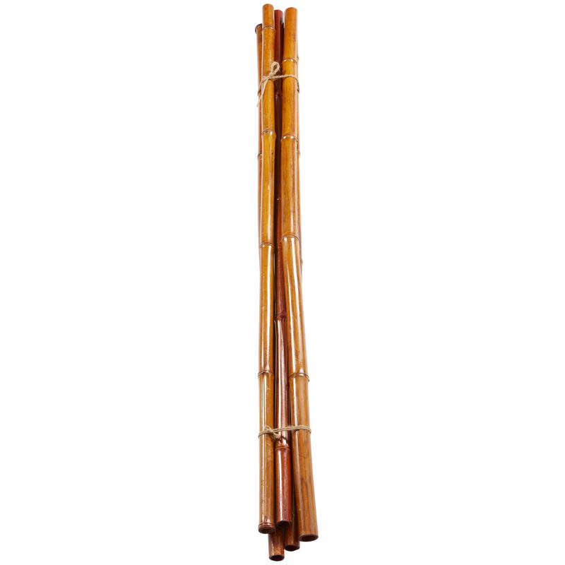 Dried Hogla Babala Bamboo Natural Foliage Collection - Multiple Colors