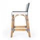 preview thumbnail 24 of 26, Serienna Rectangular Rattan Low Back 24.5"Counter Stool