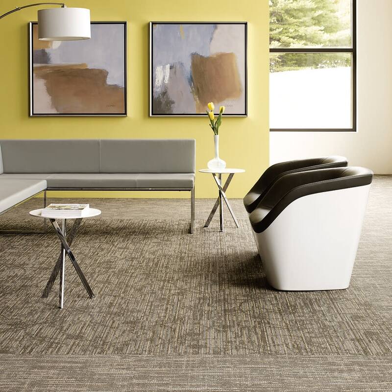 Shaw Philadelphia Commercial Reveal 24" x 24" Glue Down Carpet Tile -
