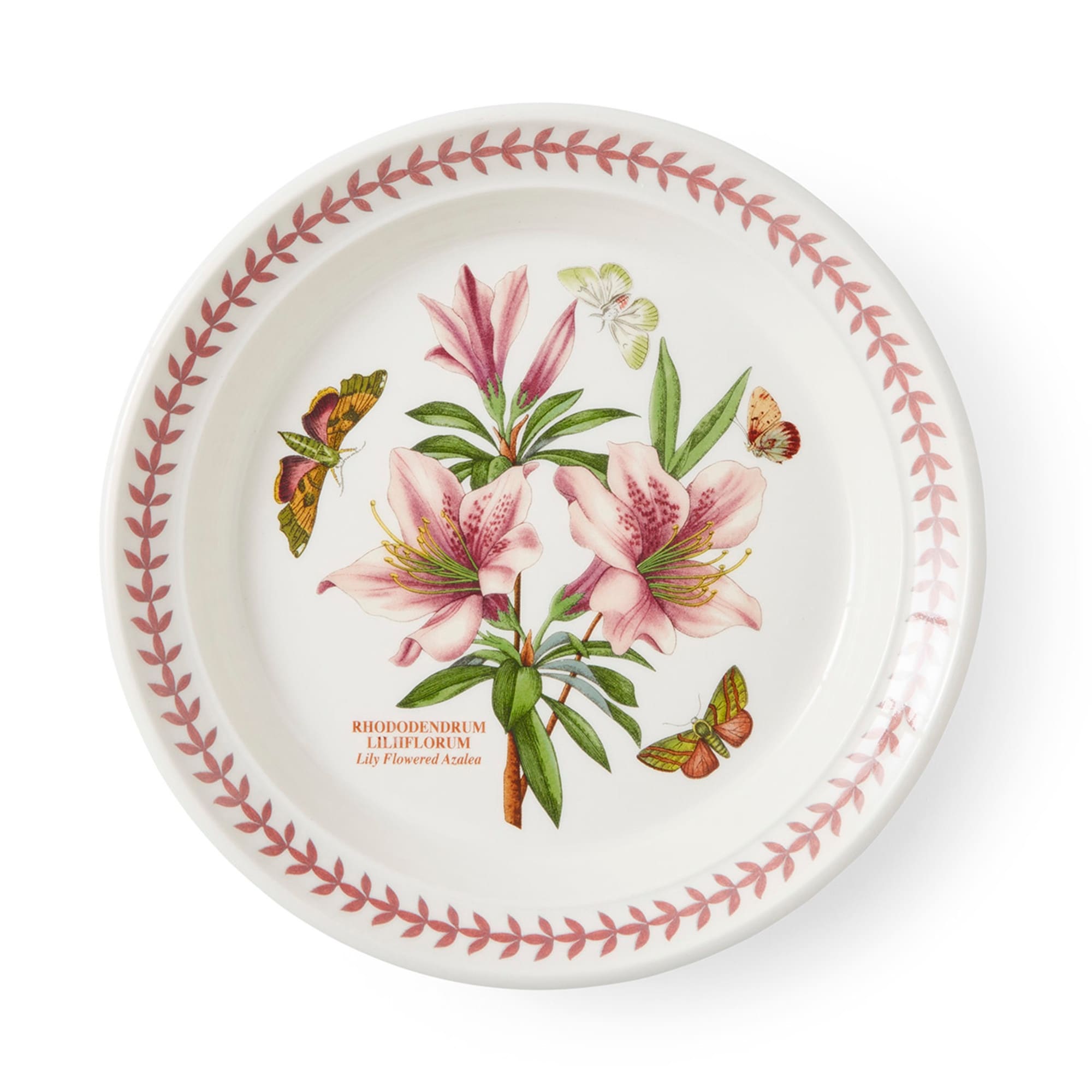 Portmeirion salad plates hot sale