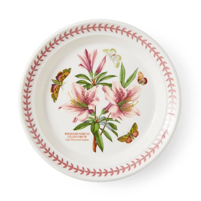 Portmeirion Botanic Garden Set of 6 Meadow Salad Plates - 8 in